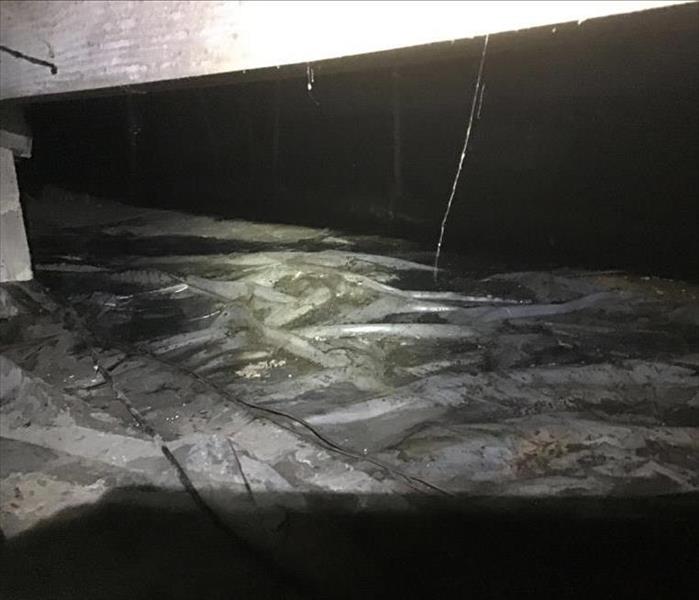 sewage leak in commercial crawlspace