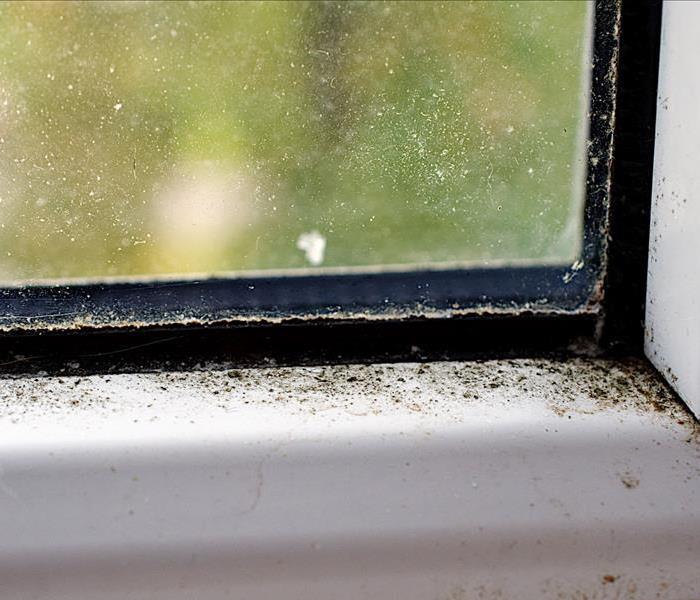 mold on corner of window 