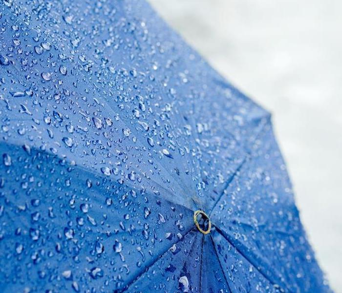 umbrella with water droplets