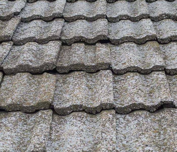 Shingles on a roof