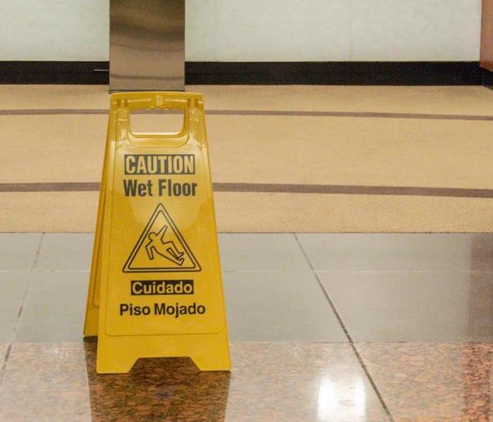 Caution: Wet Floor Sign